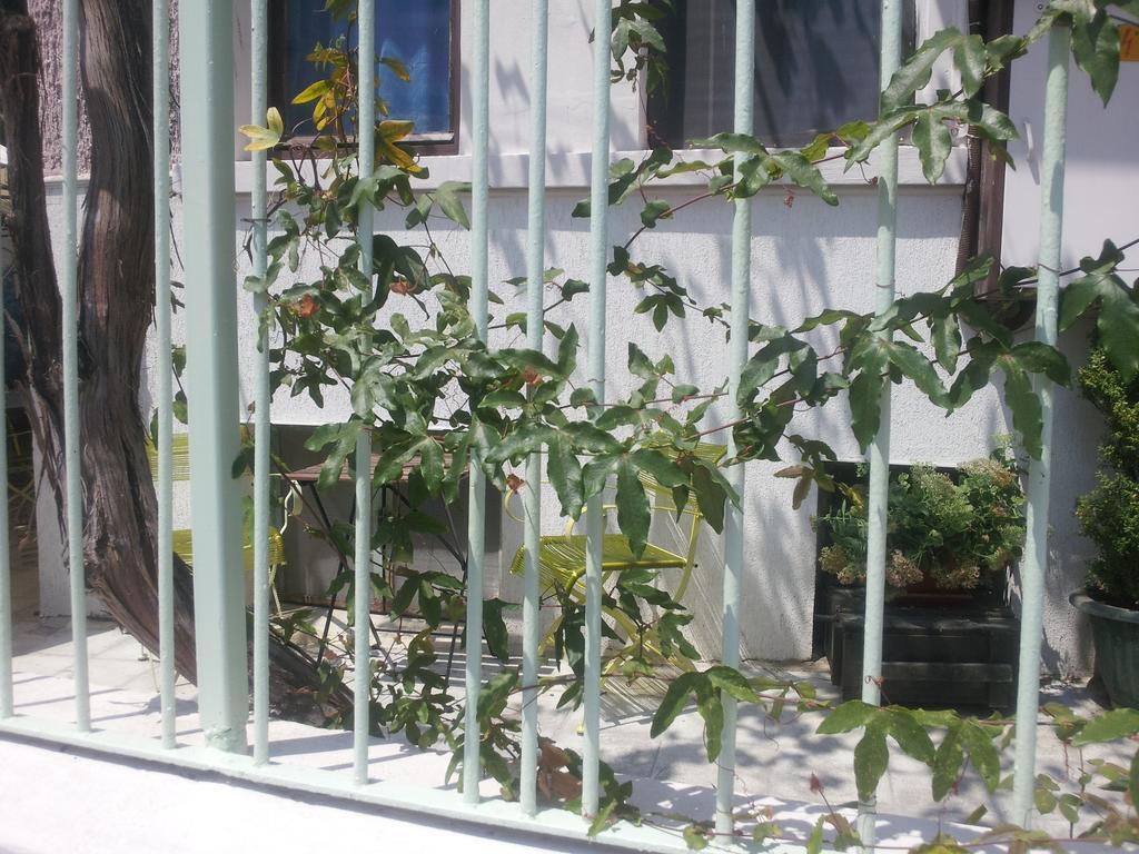 نزل بورغاسفي Old House المظهر الخارجي الصورة